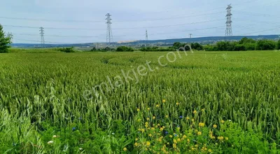 Sahibinden Tek Tapu 4390 M2 Yatırımlık Tarla