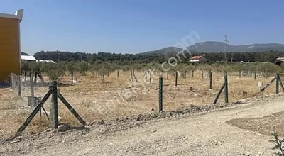Sahibinden Sahibinden Satılık Arsa