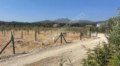 Menderes Ataköy'de 239 Metrekare Satılık Bahçe