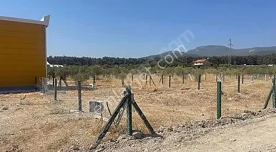 Sahibinden Satılık Arsa