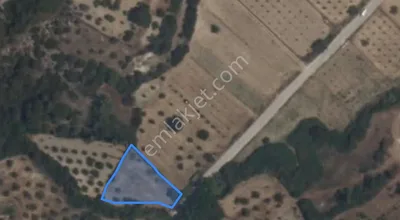 Sahibinden İzmir - Bergama Örlemiş Mahallesi Satılık Tarla