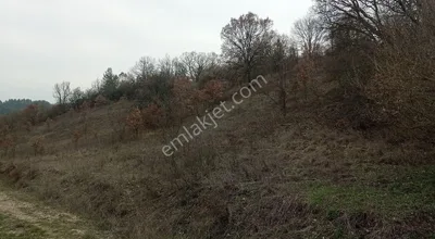 Sahibinden Yatırımlık Arazi