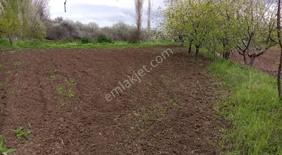 Sahibinden Kocasinan Kızık Mah. Bağ Bahçe Biçim Kaçmaz Yer