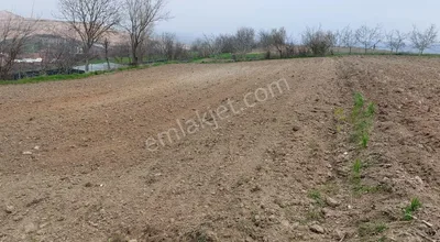 Sahibinden Kestel Soğuksu Köyünde Sahibinden Yatırılmık Tarla