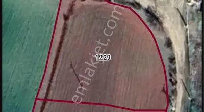 Sahibinden İlyasağa Çiftliğinde Yol Kenarında Satılık Tarla