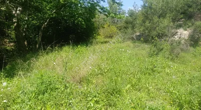 Sahibinden Karlisu Mah. Kacirilmiyacak Firsat