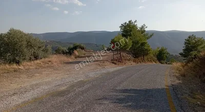 Sahibinden 20600 M² Zeytin Çiftliği Kurmaya Uygun Arazi