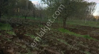 Sahibinden Simav Yenimahallede Yeni Hastaneye Yakın Satılık Tarla