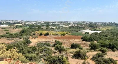 Sahibinden Altıntaşta Mustakil Arsa 3470 Mtrekare