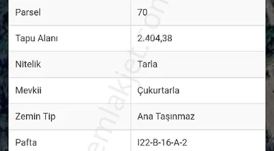 Sahibinden Satılık Ceviz Tarlası