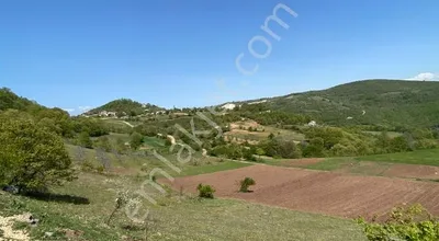 Sahibinden Yenişehir Reşadiye’de 42 M Asfalt Cepheli Manzaralı Yatırımlık Arsa