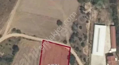 Bağ Tapulu Babaeski Yeniköy 2450m2