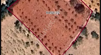 Dulkadiroğlunda 3836 Metrekare Satılık Bağ
