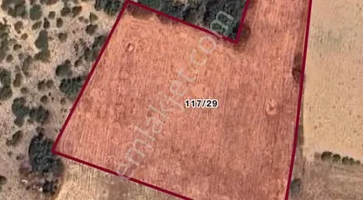 Kütahya Sofça Baraj Gölü Kenarında