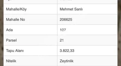 Kilis Mehmet Sanlı Mah Kupon Arazi