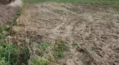 Acil Satılık İpsala Sultanköy Sahibinden Satılık 10 Dönüm Tarla