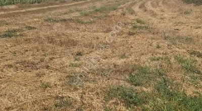 Edirne Enez Büyükevren De Satılık Tarla Denize 7 Dk Köye 5 Dk Mesafede