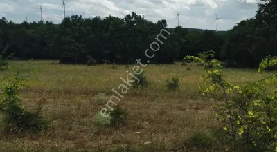 Yatırımlık Kırklareli Vıze Tarla