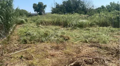 Uzunköprüde Acil Satılık Müstakil Arsa
