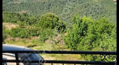 Sahibinden Bergama Muratlarda Muhteşem Zeytinlik+ev Satılık