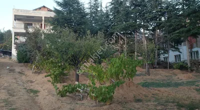 Sahibinden Satılık Hisseli Arsa