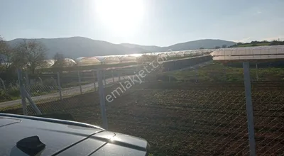 Menderes Değirmendere'de Asfalt Yola Cepheli 962 M² Tel Örgülü Tarla Sahibinden Satılık