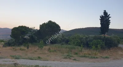 Sahibinden Emsalsiz Arsa