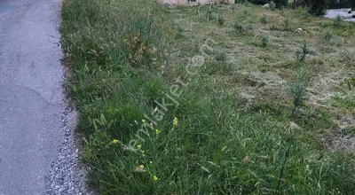 Sahibinden Köy Merkezinde Satılık