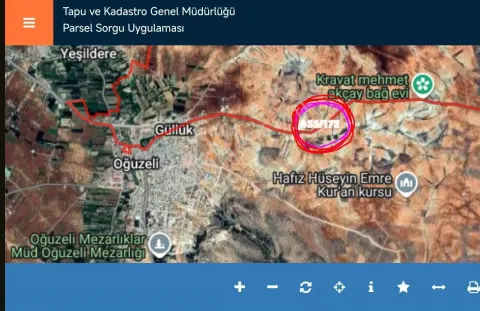 Sahibinden Oğuzeli Subaşı Da Zeytinlik