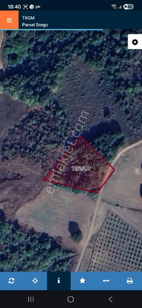 Sahibinden Yalova Altınova Karadere'de 3.168 M² Tek Tapu Yatırımlık Kupon Satılık Tarla