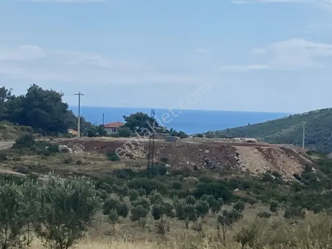Sahibinden Urla Demircili – 6 Dönüm Deniz Manzaralı Tarla Mahkeme Satışı 5.8m