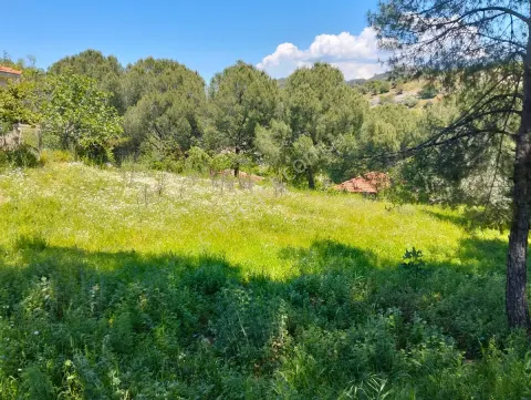 Sahibinden İzmir Dikilide 585 Mk. ℅60 İmarlı Arsa