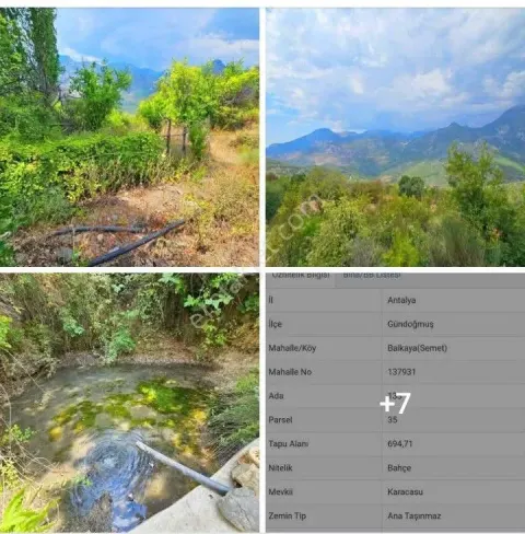 Sahibinden Antalya Gündoğmuş Balkaya(semet) Köyünde 694mtrk Meyve Bahcesi