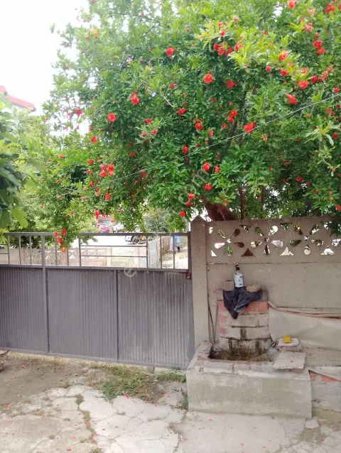 Sahibinden ✅şehir Merkezinde