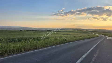 Sahibinden Asfalt Cepheli 8.800 M² Fırsat Tarla