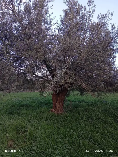 Sahibinden Sahibinden Tek Tapu-köye Yakın