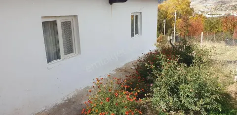 Sahibinden Ev, Bahçe, Hobi Bahçesi, Tarih
