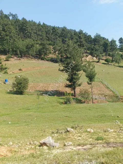 Sahibinden Boğazpınar Da