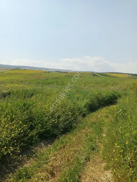 Sahibinden Tarsus Eskişehir Mah 2100 M2