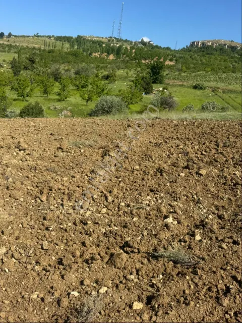 Sahibinden Satılık 644 M2 Suyu Olan Tarla