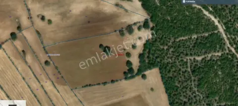 Sahibinden Tek Tapu 14,200 M2 Tarla Düz Arazi