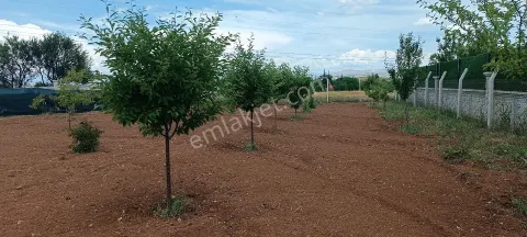 Sahibinden Poyraz'da Mükemmel Konumda Bahçe