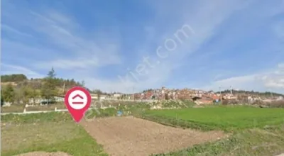 Sahibinden Kütahya Tavşanlı Emirler Yol Dibi Tarla