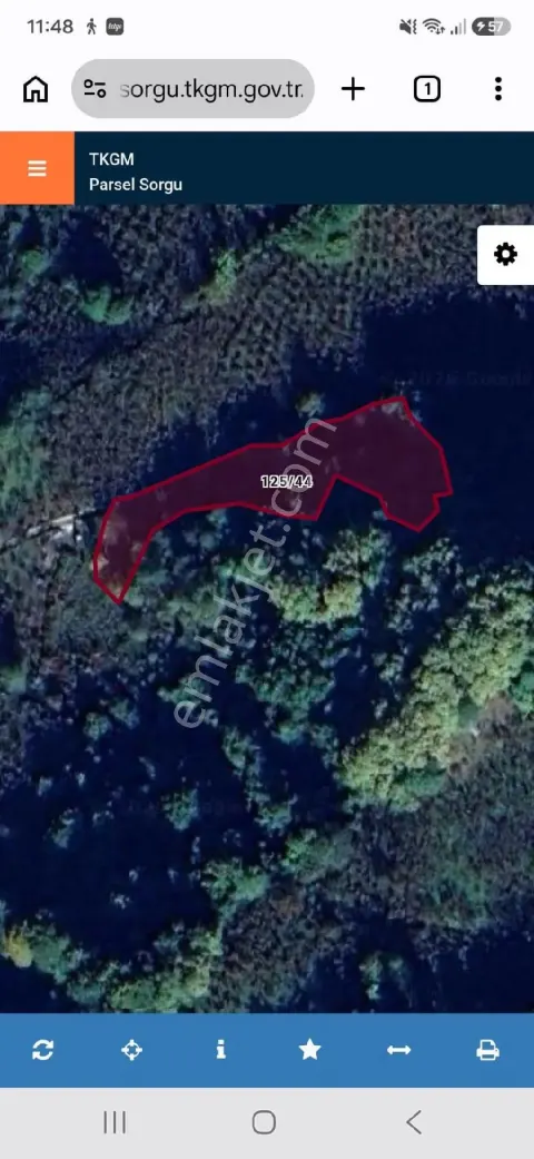 Sahibinden Zonguldak Ereğlide 2.250m2 Fındıklık
