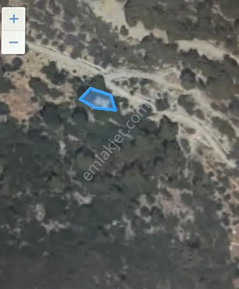 Sahibinden Mahmutseydi Yaylasında Tek Tapu Arsa