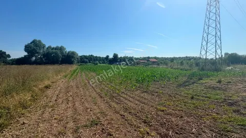 Sahibinden Kuzey Marmara Otoyoluna Sıfır Acil Satılık