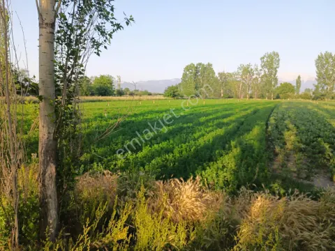 Sahibinden Yol Kenarı Tarla