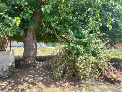 Sahibinden Şile Sahilköy'de Sahibinden Satılık 300 M² Yatırımlık Arsa