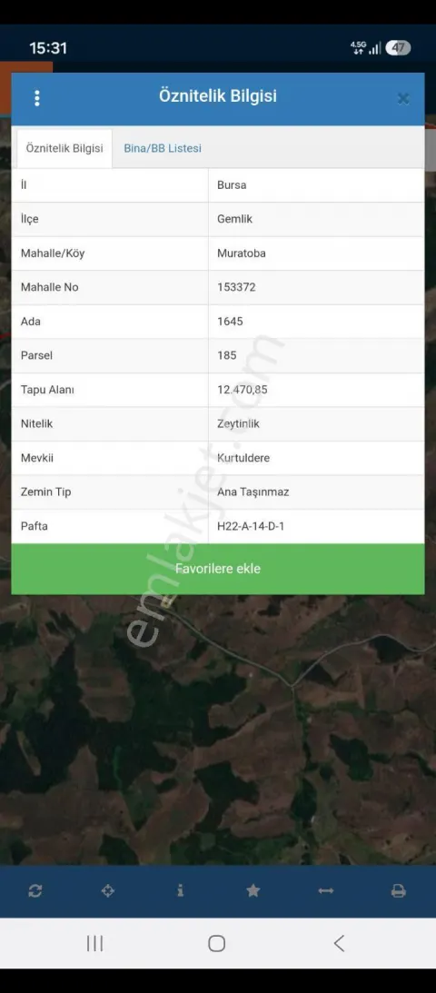 Sahibinden Acil Satılık Zeytinlik