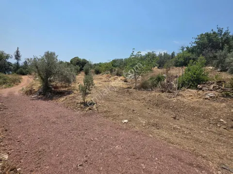 Sahibinden Kumluca,incircikte Mustakil Tapulu